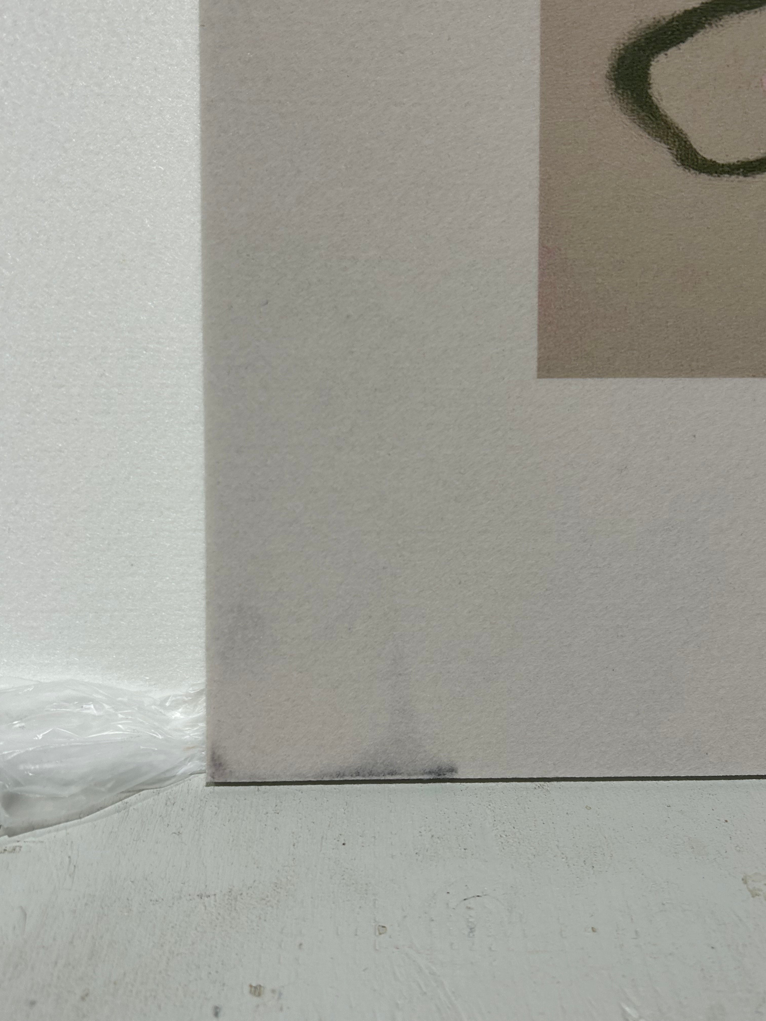 Bela 80 x 120 cm, lijstkleur: Sage Green (243) Atelier opruiming